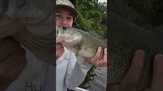 Swimbait Success! #fishing #bass #shorts #tips #outdoors #adventure #shorts #fish #success