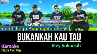 BUKANKAH KAU TAU KARAOKE  ELVY SUKAESIH