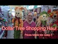 Dollar Tree Shopping Haul  --  The Prices Are Up and Made Me Gasp !!