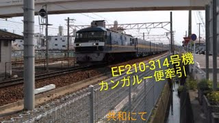 EF210-314号機カンガルー便