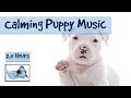 Relaxing Music for Puppies! Cure Separation Anxiety in Puppies with Music from Relax My Dog!