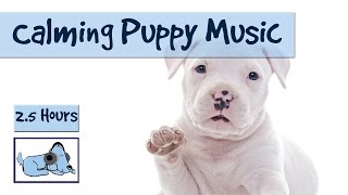 Relaxing Music for Puppies! Cure Separation Anxiety in Puppies with Music from Relax My Dog!