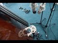 DOUBLE BASS MICROPHONES TEST