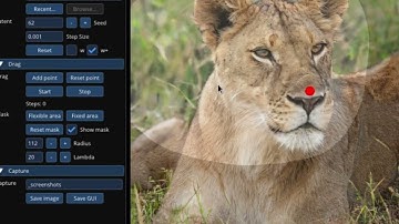 DragGAN demo is now live!! Best AI Tool For Editing Images