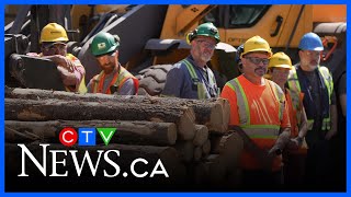 Tariffs continue to mount on Canada’s lumber industry