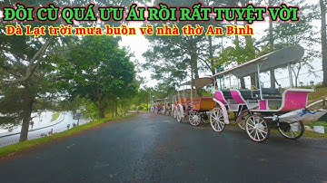 ĐỒI CÙ LÀM THẾ NÀY THÌ TUYỆT VỜI LẮM RỒI. ĐÀ LẠT MƯA BUỒN VÀ LẠNH