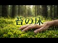 苔の床 – Celtic Harp &amp; Tin Whistle Healing for Deep Rest | Moss Cathedral