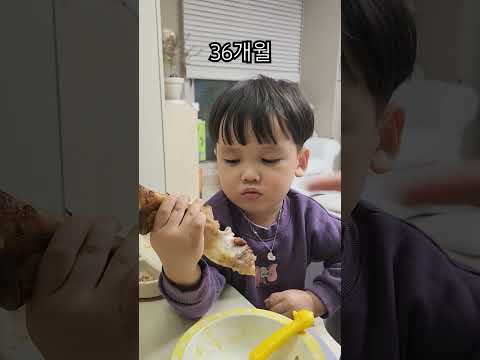 익룡 고기 🍖