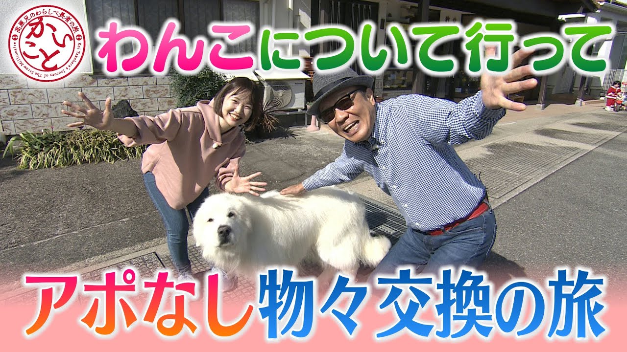 高原兄が看板犬と行くアポなし旅【かいこと】