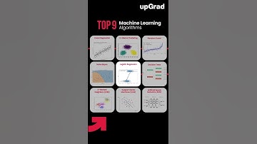 Top 9 Machine Learning Algorithms 2025 | Machine Learning Algorithms for Data Science