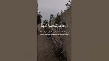 تلاوة خاشعة ومؤثرة للشيخ محمود الشحات #تلاوة_خاشعة #القرآن_الكريم #تلاوة_مؤثرة#محمود_الشحات_أنور