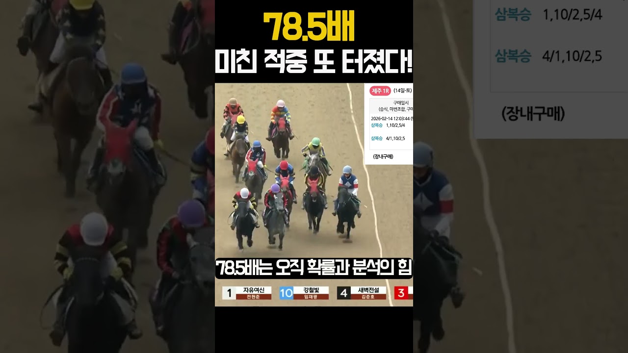 78.5배 또 터졌다! 확률 분석으로 잡은 소름 돋는 적중 기록 | 260214 토 제주 1경주  #경마 #쇼츠 #경마재택크 #고배당 #적중 # #automobile #horse