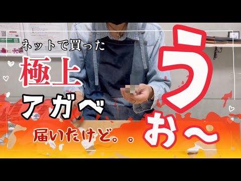 親株出品　アガベ　G7 MARS yanタグ有　鉢ごと発送 I bought an 