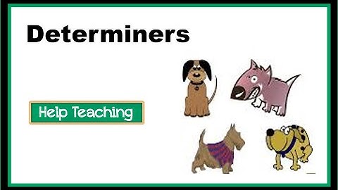 What are Determiners? | English Grammar Lesson