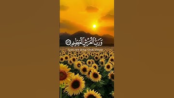 سُورَةُ المُؤۡمِنُونَ♡ تلاوة خاشعة♡ Surah Al-Muʼminun #الله #quran #allah #islam