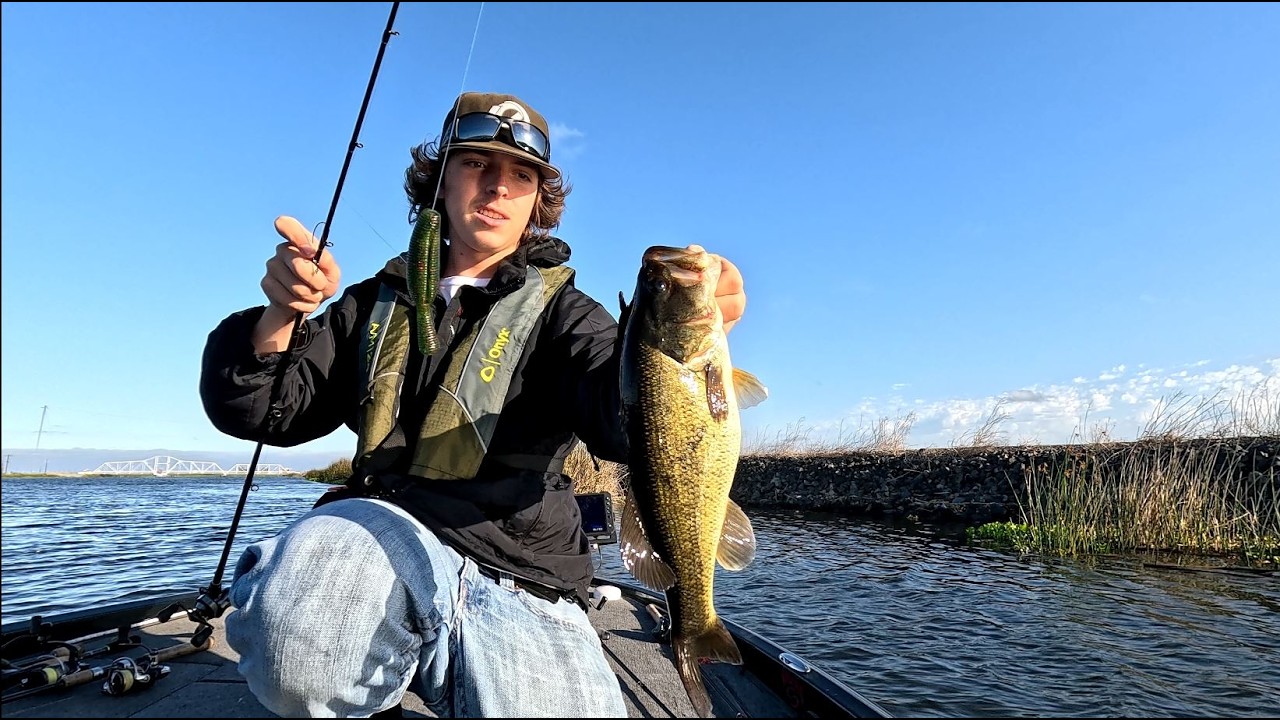 summer bass fishing on the California Delta