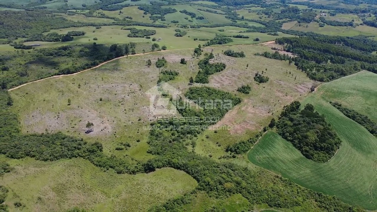 Fazenda a venda no Capão do leão 88 hectares