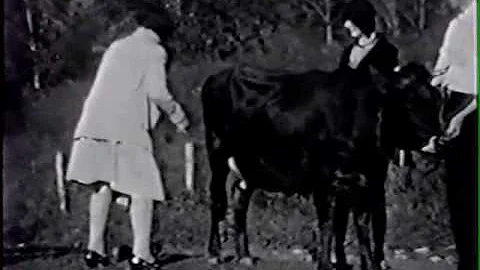 1929 Sizemore Family Reunion