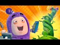 Oddbods | NEW | JEFF & THE BEANSTALK | Full EPISODE COMPILATION | Funny Cartoons For Kids