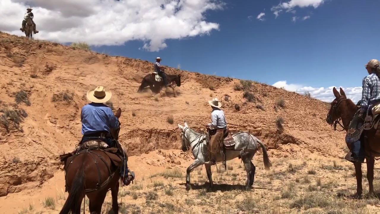 Having some fun on mules! - YouTube