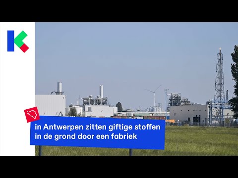 Video: Neem Je Eigen Eten Mee: Uit Eten Op De Filippijnen - Matador Network