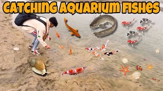 Catching Aquarium Fishes In Village || मैंने मछलियाँ पकड़ लीं