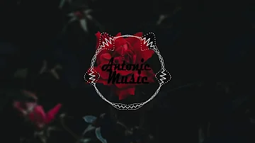 P!nk - Beautiful Trauma (Antonic EDM Remix)