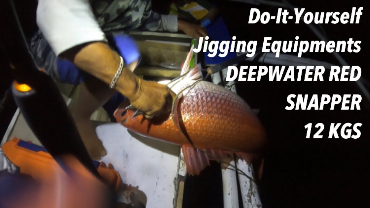 SAGISI • 12 KILOS RED FISH • JIGGINGBPH.