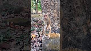 Tinky Hilarious Style Ever Lol