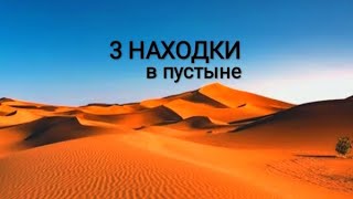 Топ 3 Находки в пустыне!