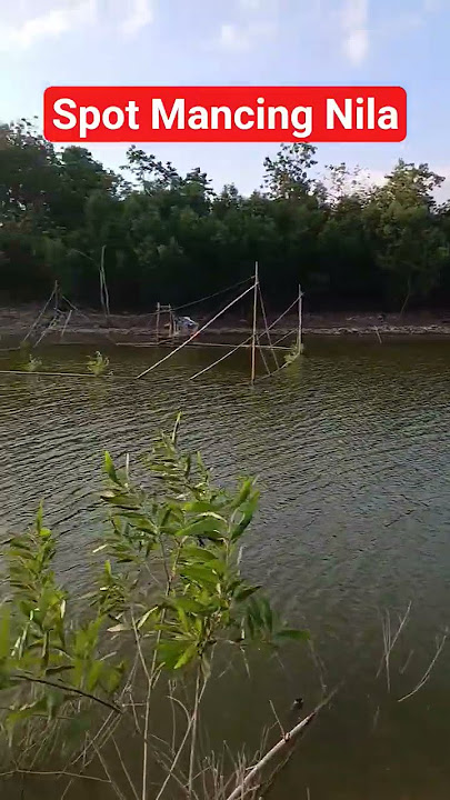 big tilapia fishing spot