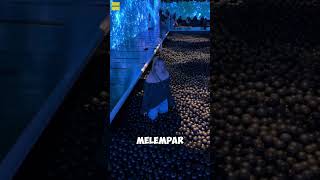 Wanita Ini Ditegur Karna Foto