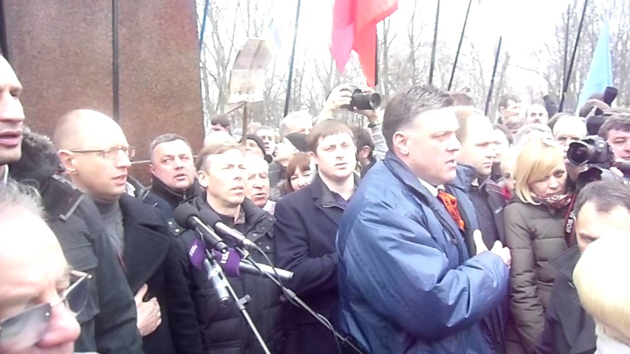7 апреля 2013 г. митинг " Вставай Украина ".
