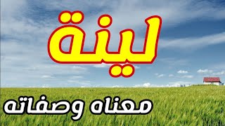 معنى اسم لينة و صفات حاملة هذا الاسم