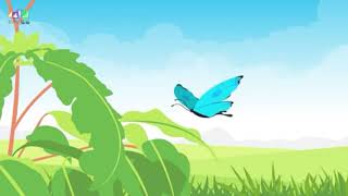 Ciclo De Vida Dos Animais - 3 Ano