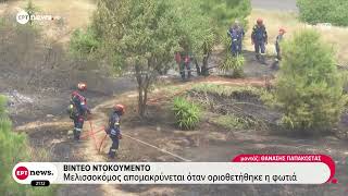 Βίντεο ντοκουμέντο - Μελισσοκόμος απομακρύνεται όταν οριοθετήθηκε η φωτιά