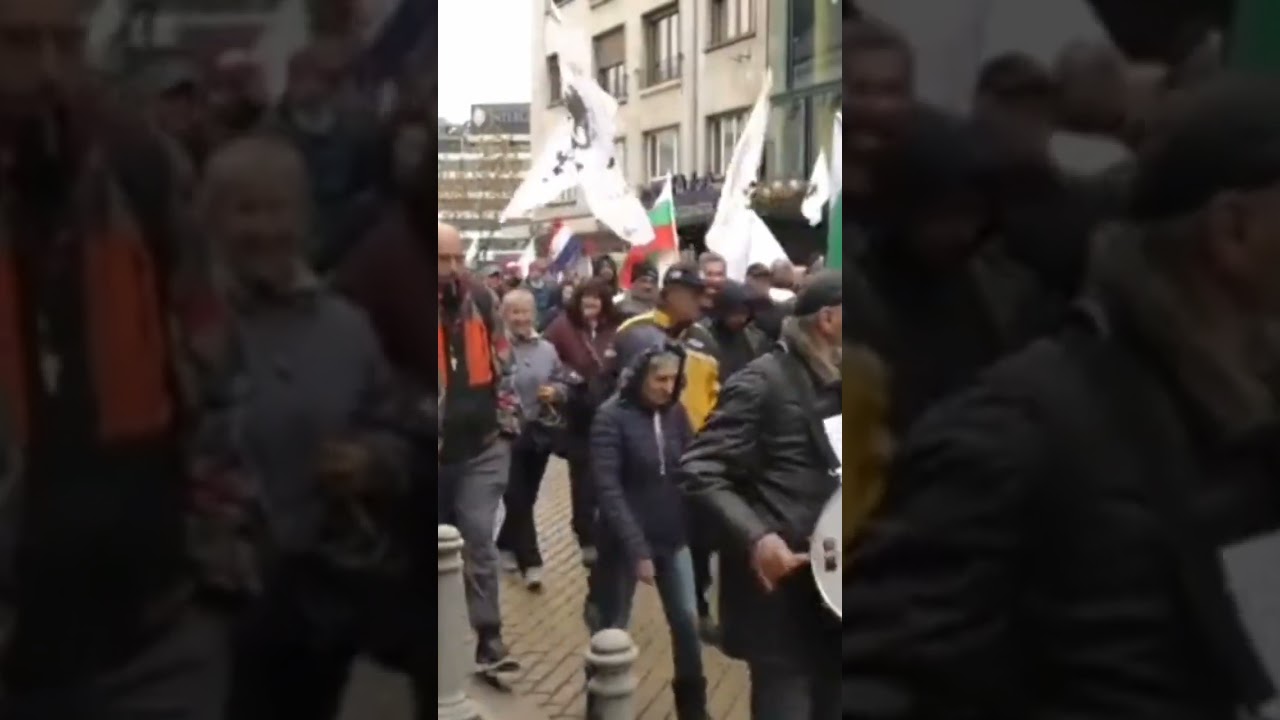 Demonstration against EU euro introduction in Bulgaria