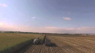 Two 10 row Claas cutting a 150 acre pivot end of 2015 Silage Corn