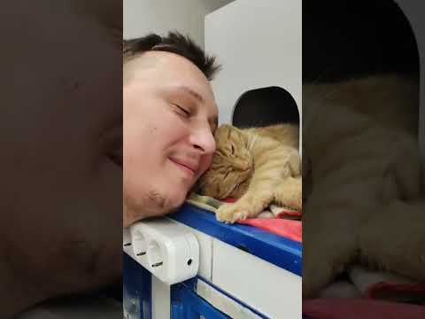 Стационар — место любви!