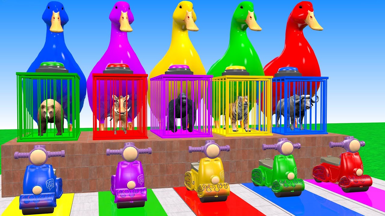 Long Slide Game With Elephant Bear Warthog Gorilla Buffalo Tiger 3d Animal Game Funny 3d Animals