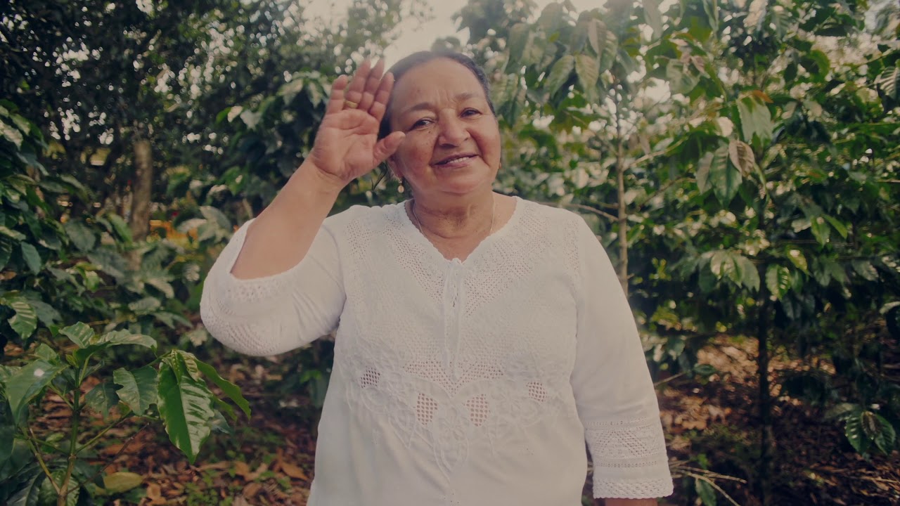 50 Amigas - Valiant Collective (Impact)