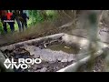 Incautan varios cocodrilos en la casa del expelotero dominicano jos rijo