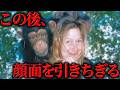動物が関係した怖すぎる事件の実態
