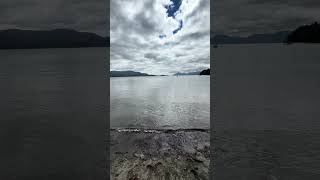 Bald Eagles in Ketchikan, Alaska #ketchikan #alaska #baldeagle