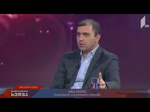 ოპოზიციის სამოქმედო გეგმა - „თავისუფალი საქართველოს“ ლიდერი კახა კუკავა „თავისუფალ ხედვაში“