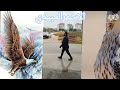 اقول انت اشخاص تدري اني ماني سريع الاعجاب