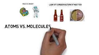 Celebrity 1 2 phases and classifications of matter Wealth