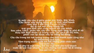 An Hà Kiều / 安和桥 | Nhạc Tâm Trạng Tik Tok - Cover THẮM SÁO ( LA trầm 0975850812)