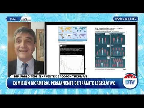 VIDEOCONFERENCIA EN VIVO: H. Cámara de Diputados de la Nación - 30 de junio de 2021