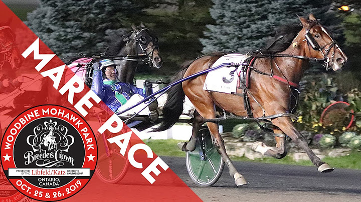 2019 Breeders Crown - Caviart Ally - Mare Pace